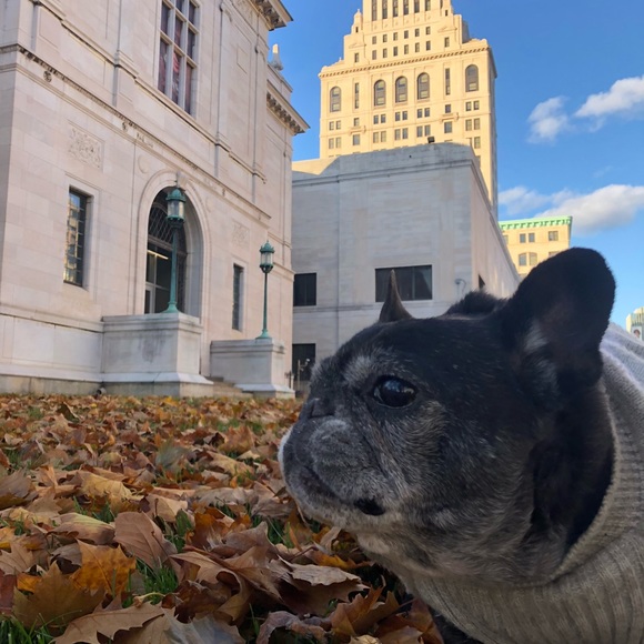 Meet your Posher, Molly - Picture 1 of 1